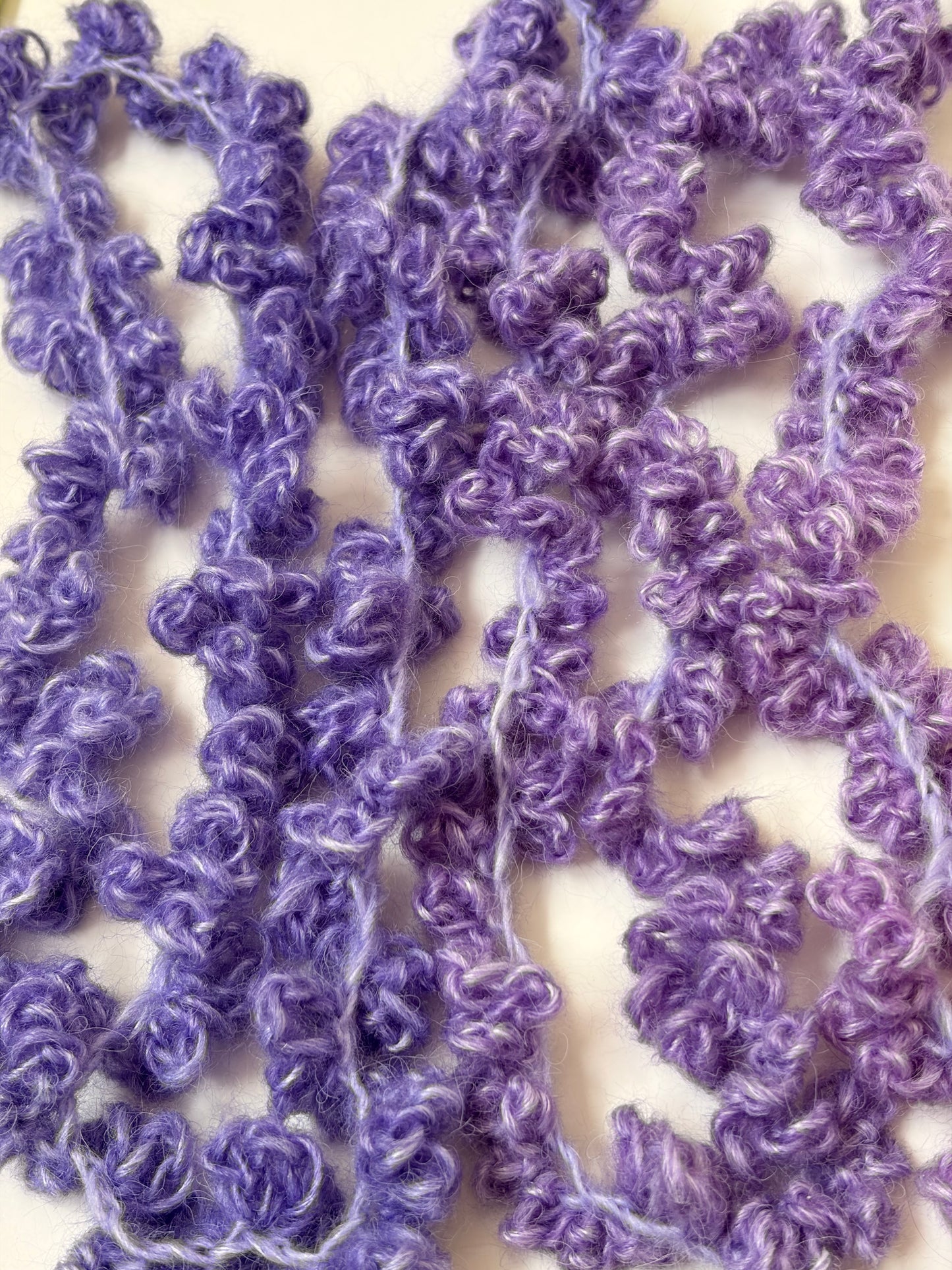 Seeing wisteria 2026