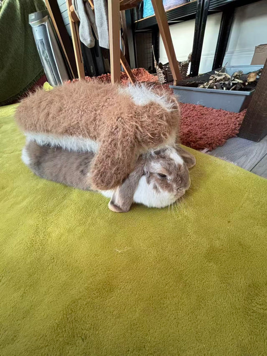 Crochet Workshop /Entry level-Bunny Bun Crochet