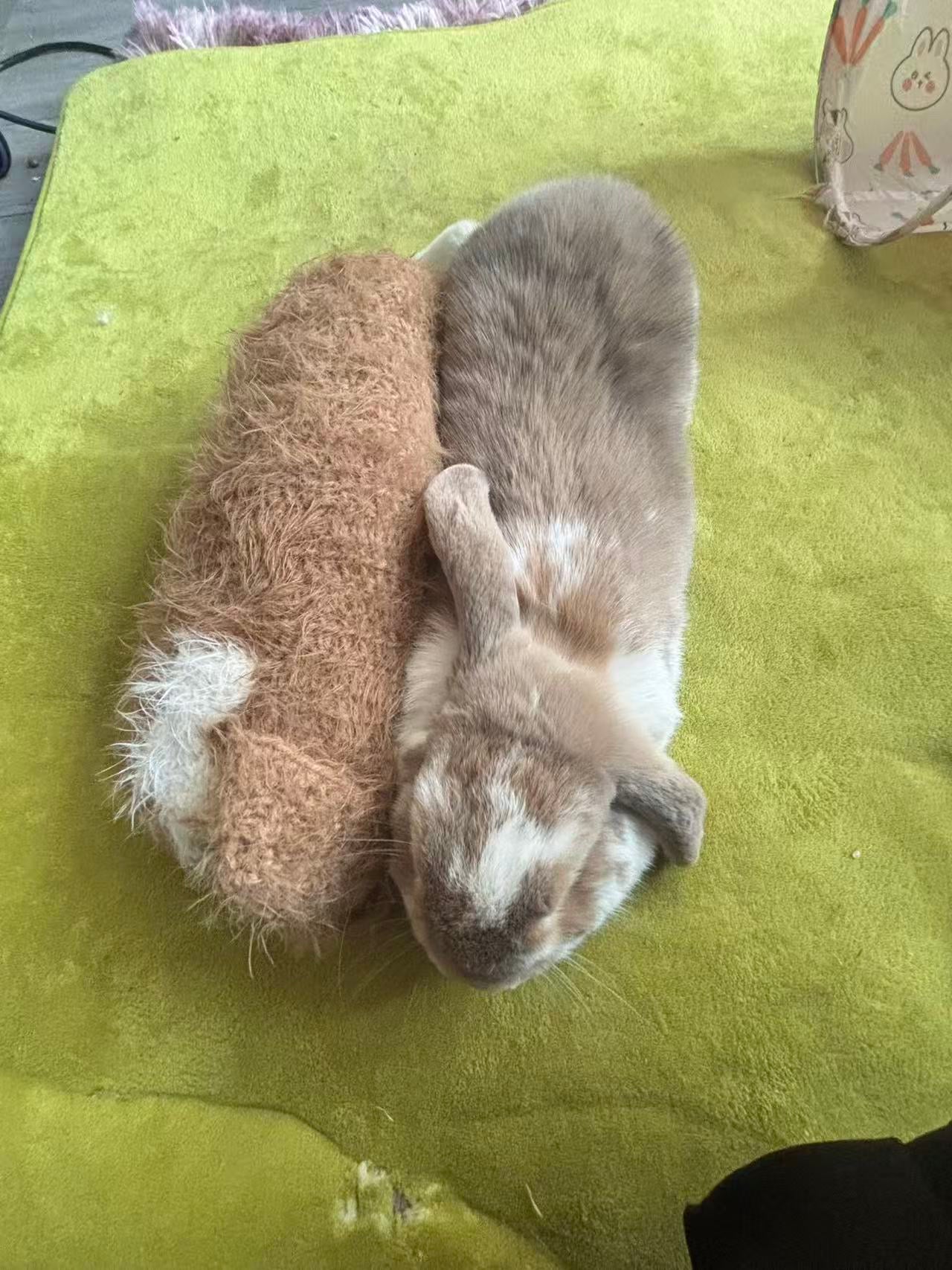 Babao bun- How to enjoy yarn playground