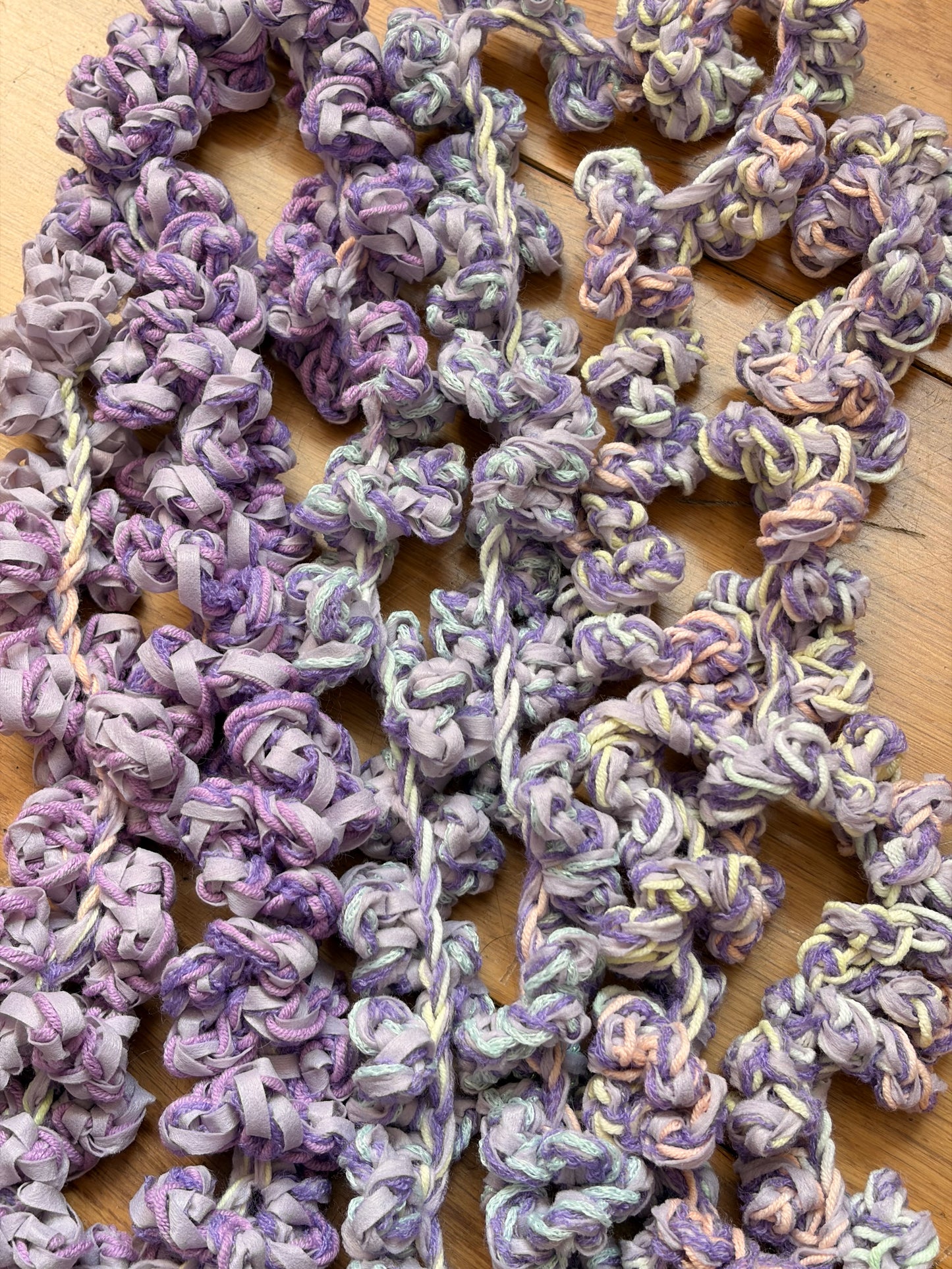 Seeing wisteria 2026
