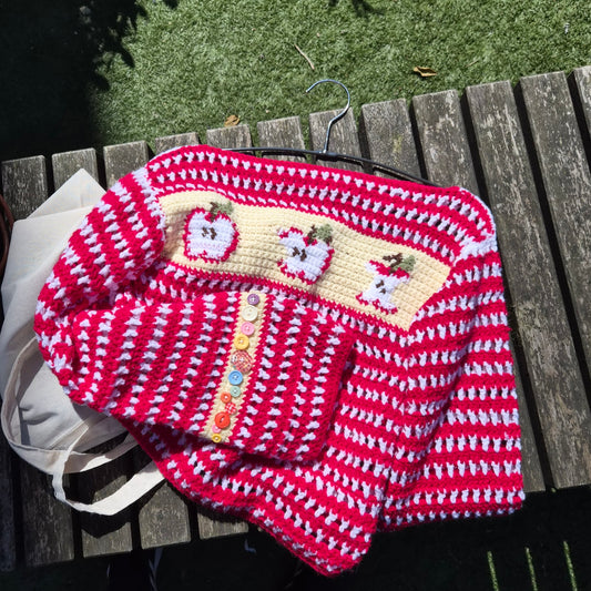Apple Jumper Spring Summer Top size S